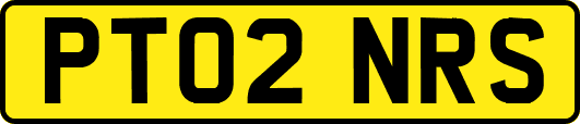 PT02NRS
