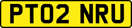 PT02NRU