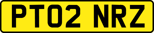 PT02NRZ