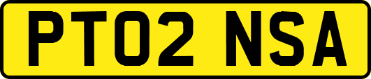 PT02NSA