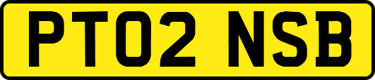 PT02NSB