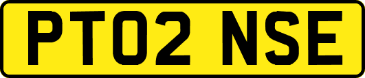 PT02NSE