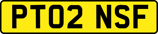PT02NSF