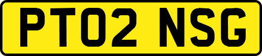 PT02NSG
