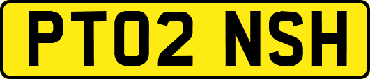 PT02NSH