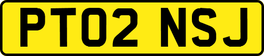 PT02NSJ