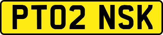 PT02NSK
