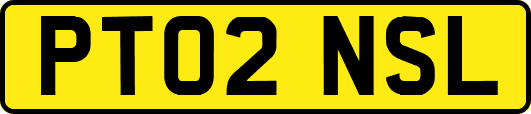PT02NSL