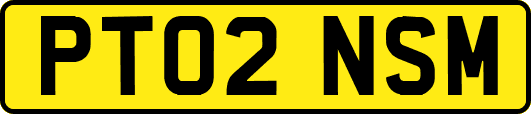 PT02NSM