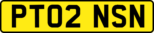 PT02NSN