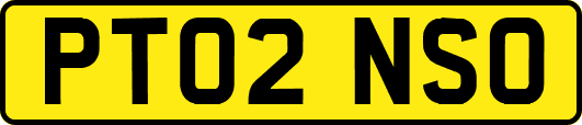 PT02NSO