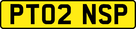 PT02NSP