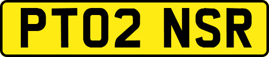 PT02NSR