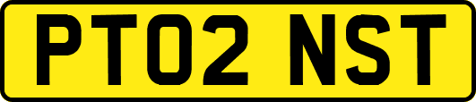 PT02NST