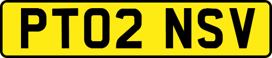 PT02NSV