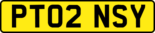 PT02NSY