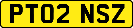 PT02NSZ