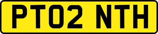 PT02NTH