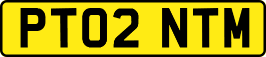 PT02NTM