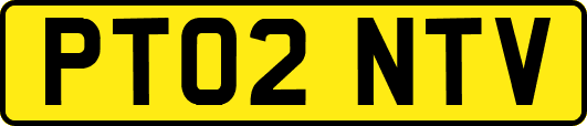 PT02NTV