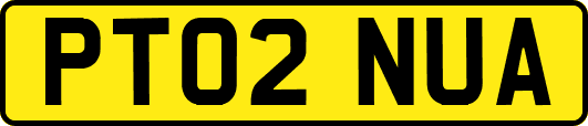 PT02NUA