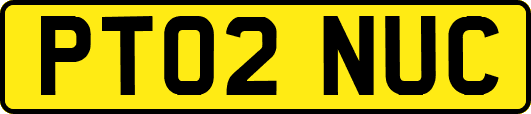 PT02NUC