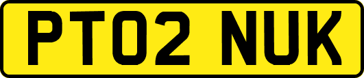 PT02NUK