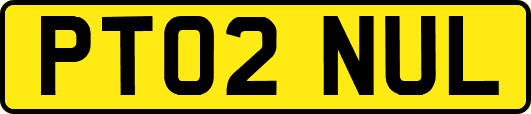 PT02NUL