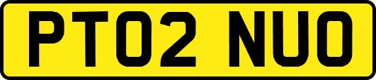 PT02NUO