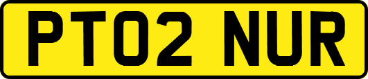PT02NUR