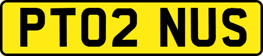 PT02NUS