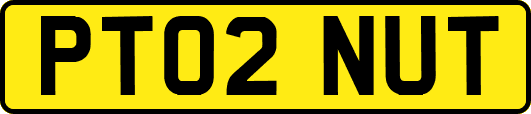 PT02NUT