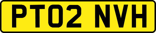 PT02NVH