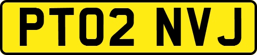 PT02NVJ