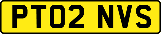 PT02NVS