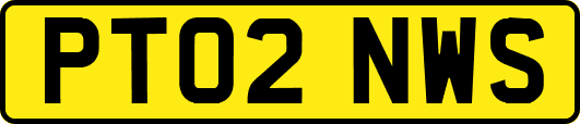PT02NWS