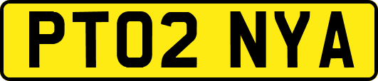 PT02NYA