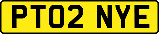 PT02NYE