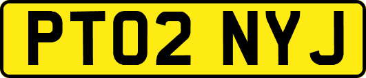PT02NYJ