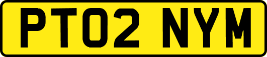 PT02NYM