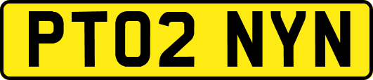 PT02NYN