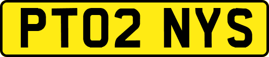 PT02NYS