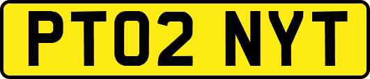 PT02NYT