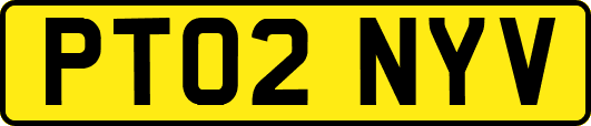 PT02NYV
