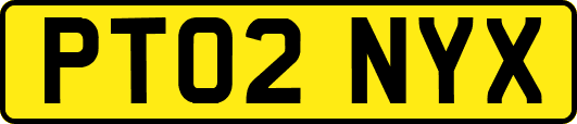 PT02NYX