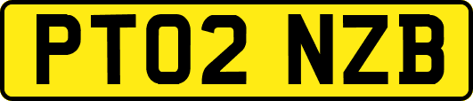 PT02NZB