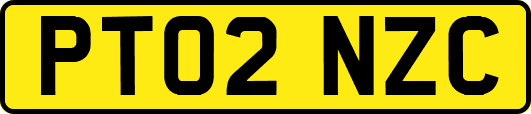 PT02NZC