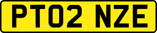 PT02NZE
