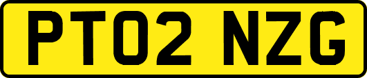 PT02NZG