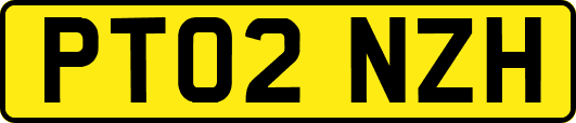 PT02NZH